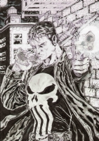 Punisher Complete Comic Art